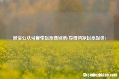 靠谱商家投票报价 微信公众号自带投票查刷票