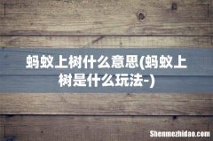 蚂蚁上树是什么玩法- 蚂蚁上树什么意思