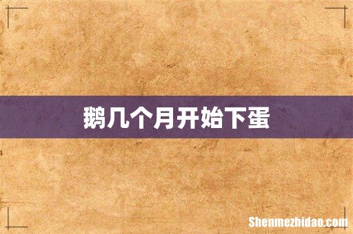 鹅几个月开始下蛋