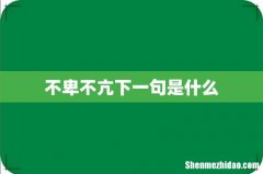 不卑不亢下一句是什么