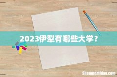 2023伊犁有哪些大学？
