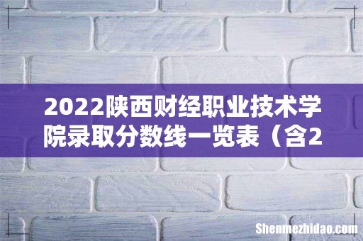 含2020-2021历年 2022陕西财经职业技术学院录取分数线一览表