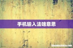 手机输入法啥意思