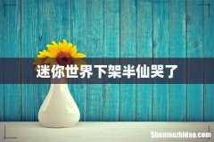 迷你世界下架半仙哭了