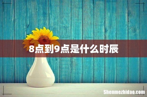 8点到9点是什么时辰