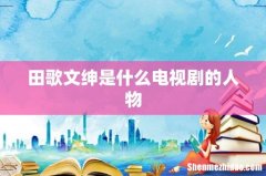 田歌文绅是什么电视剧的人物