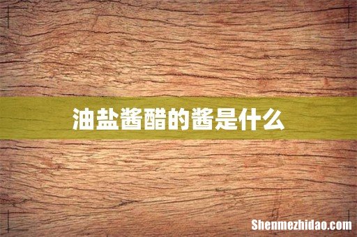 油盐酱醋的酱是什么