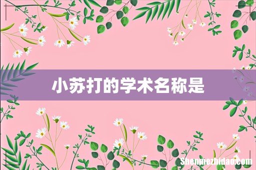 小苏打的学术名称是