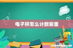 电子秤怎么计数称重