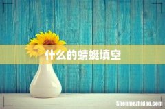 什么的蜻蜓填空