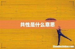 共性是什么意思
