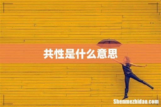 共性是什么意思