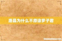 唐晶为什么不原谅罗子君