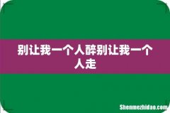 别让我一个人醉别让我一个人走