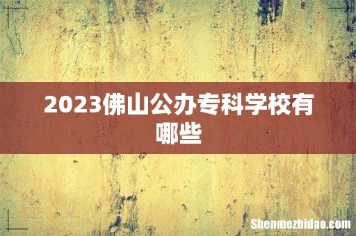 2023佛山公办专科学校有哪些