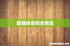 因缘际会和合而生