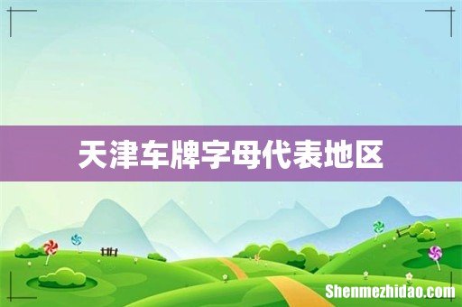 天津车牌字母代表地区