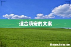 适合萌宠的文案