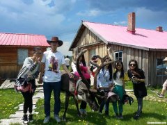 哪里去海拉尔最便宜多少钱