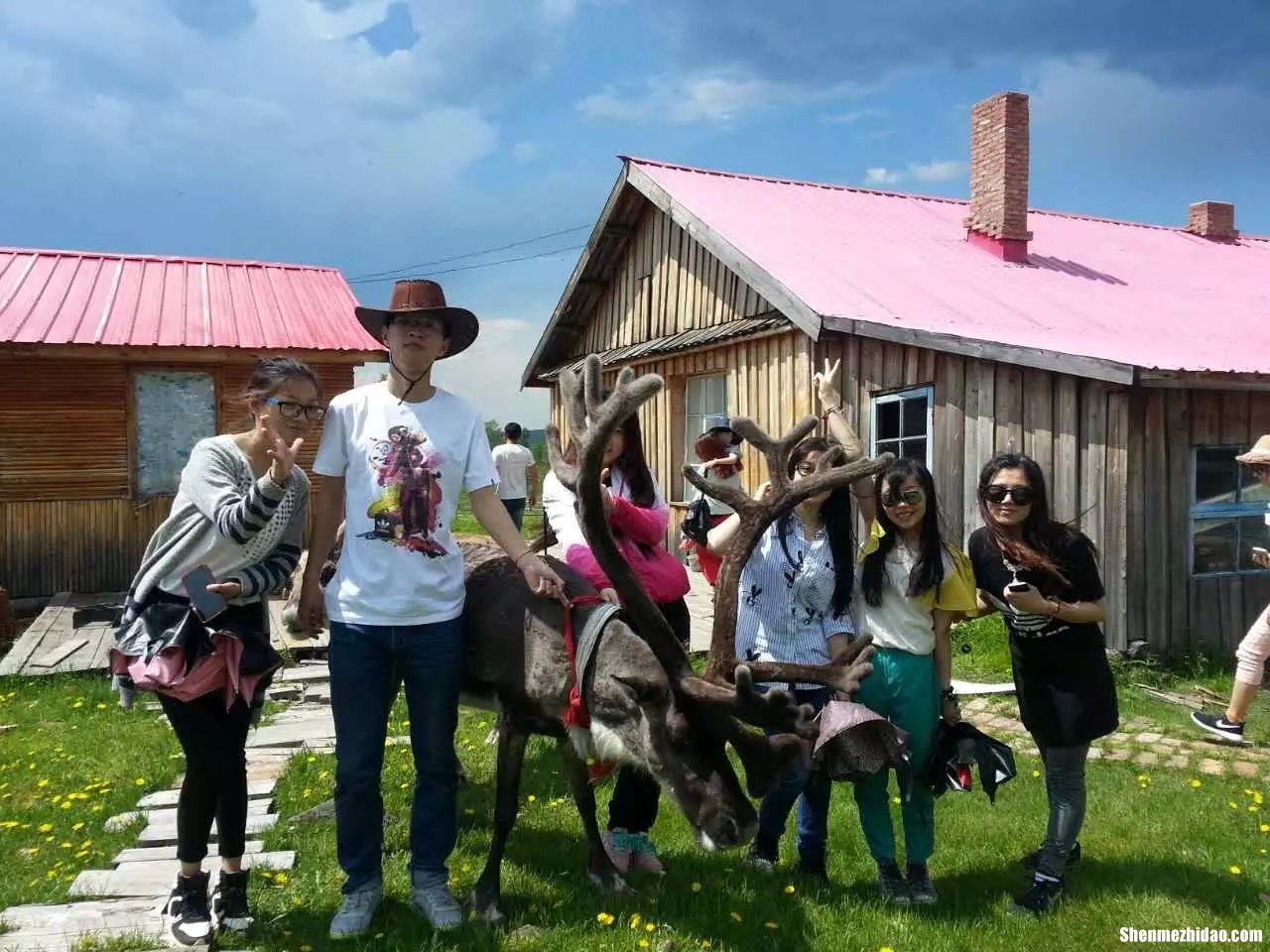 哪里去海拉尔最便宜多少钱