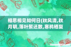秋风清,秋月明,落叶聚还散,寒鸦栖复惊.相思相见知何日,此时此夜难为情 相思相见知何日