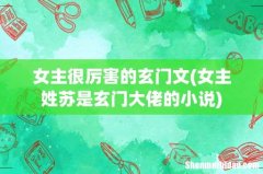 女主姓苏是玄门大佬的小说 女主很厉害的玄门文