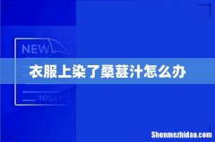 衣服上染了桑葚汁怎么办
