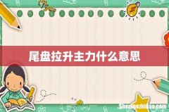 尾盘拉升主力什么意思