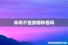 羊肉不宜放哪种香料