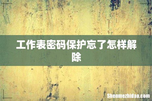 工作表密码保护忘了怎样解除