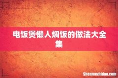 电饭煲懒人焖饭的做法大全集