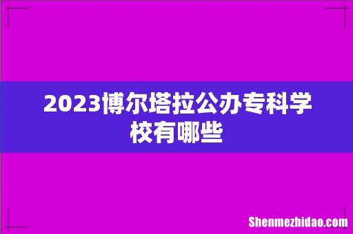 2023博尔塔拉公办专科学校有哪些