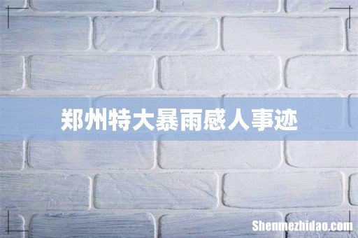 郑州特大暴雨感人事迹