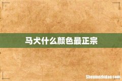 马犬什么颜色最正宗