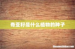 奇亚籽是什么植物的种子