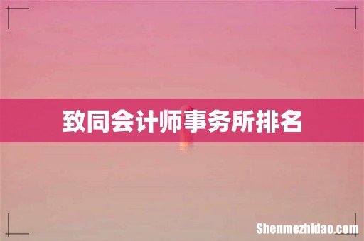 致同会计师事务所排名