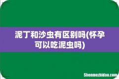 怀孕可以吃泥虫吗 泥丁和沙虫有区别吗