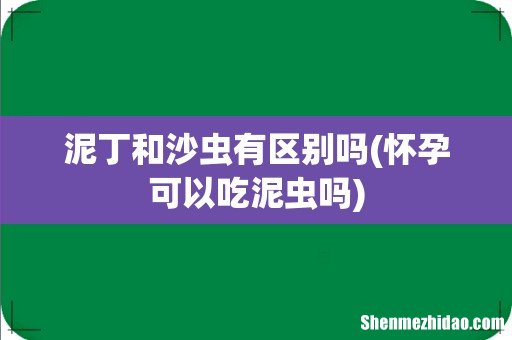 怀孕可以吃泥虫吗 泥丁和沙虫有区别吗