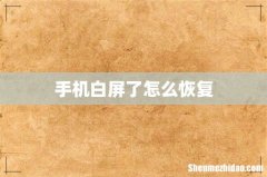 手机白屏了怎么恢复