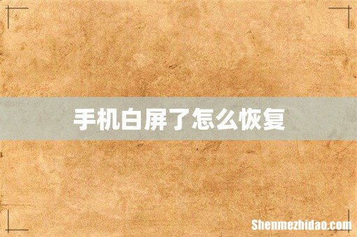 手机白屏了怎么恢复