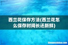 西兰花怎么保存时间长还新鲜 西兰花保存方法