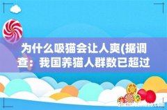 据调查：我国养猫人群数已超过养狗人群，为何大家都喜欢“吸猫”？ 为什么吸猫会让人爽