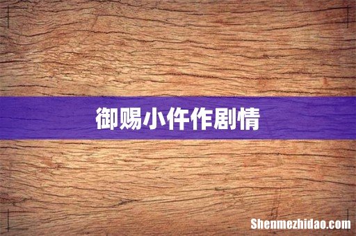 御赐小仵作剧情