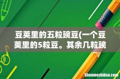 一个豆荚里的5粒豆。其余几粒豌豆呢？这句话在文中的作用是什么？ 豆荚里的五粒豌豆