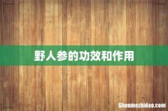 野人参的功效和作用