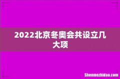 2022北京冬奥会共设立几大项