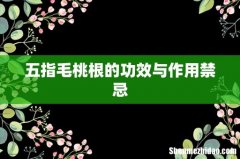 五指毛桃根的功效与作用禁忌