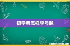 初学者怎样学号脉