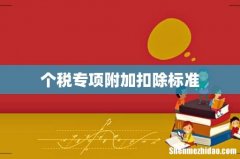 个税专项附加扣除标准