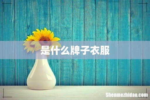 是什么牌子衣服